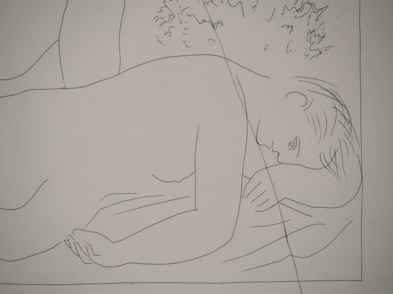 Pablo PICASSO : Métamorphoses d&