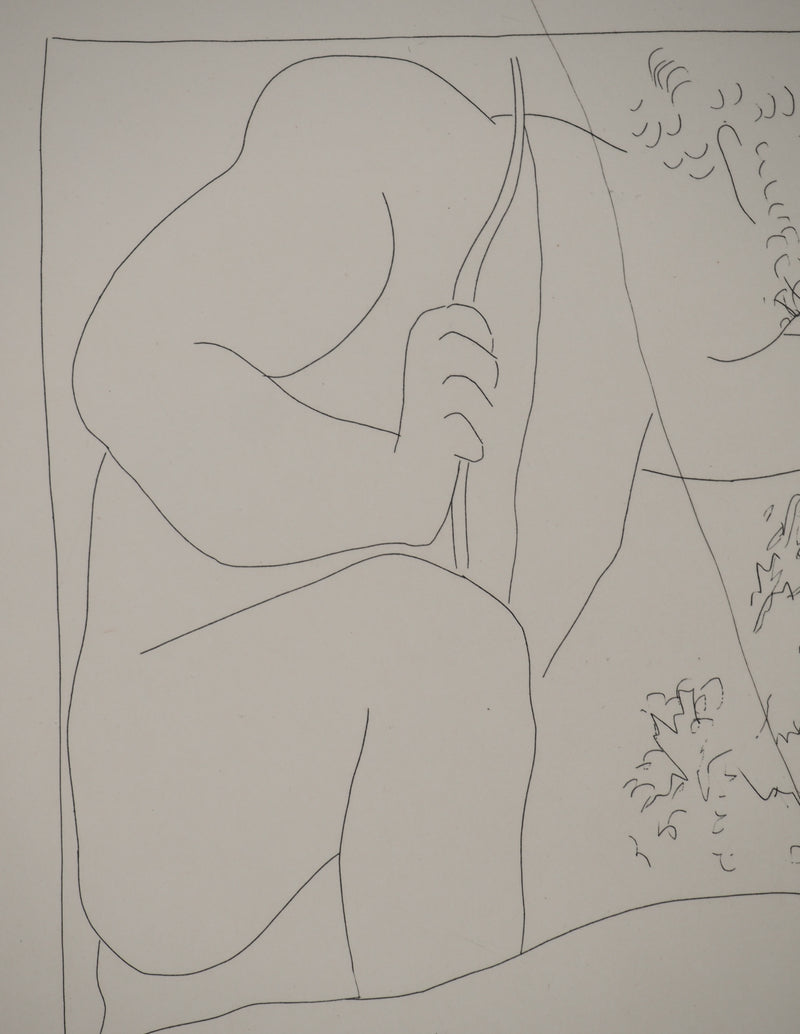 Pablo PICASSO : Métamorphoses d&