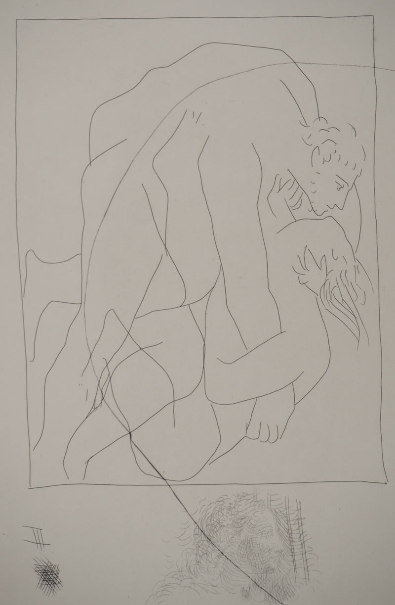 Pablo PICASSO : Métamorphoses d&