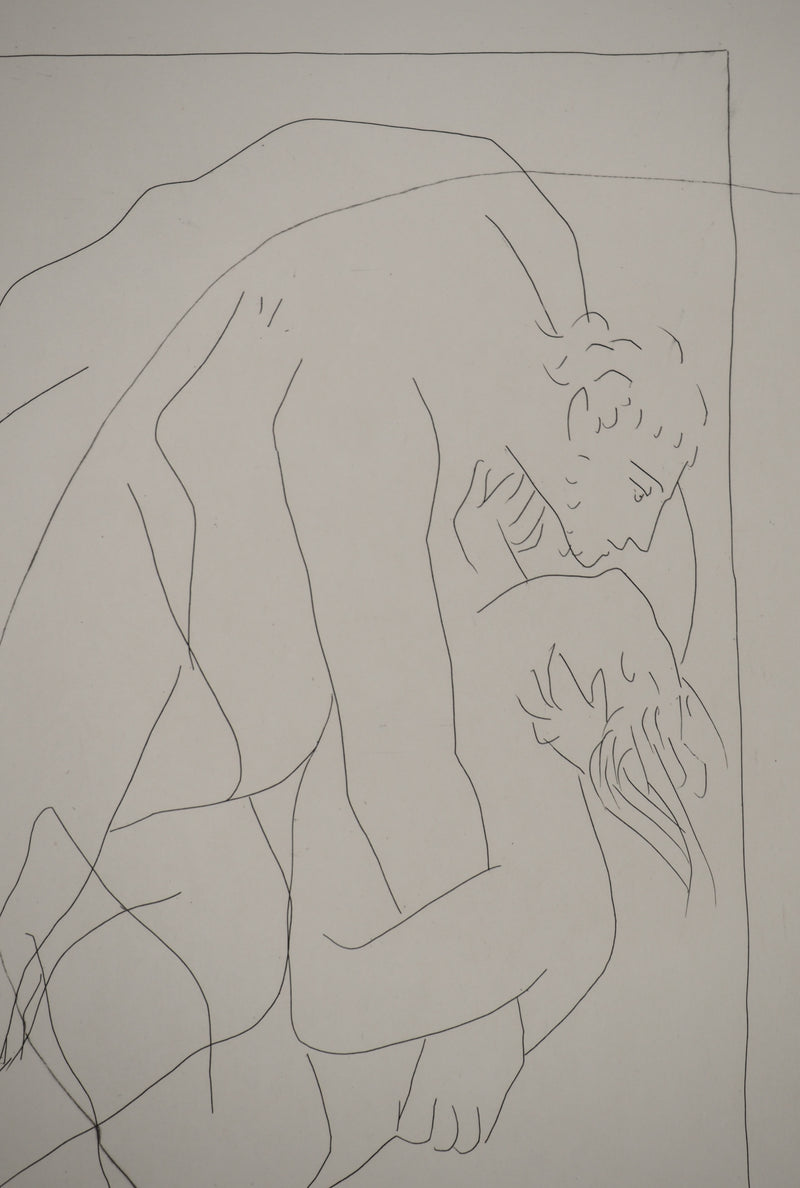 Pablo PICASSO : Métamorphoses d&