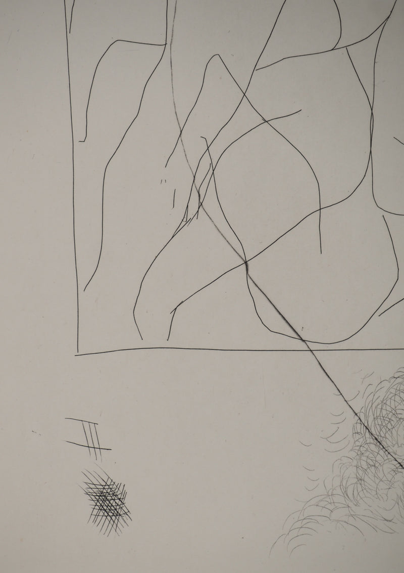 Pablo PICASSO : Métamorphoses d&