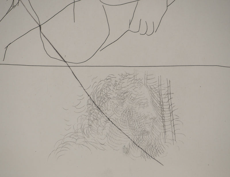 Pablo PICASSO : Métamorphoses d&