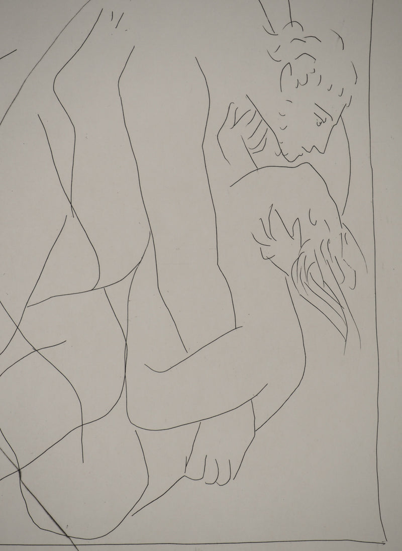 Pablo PICASSO : Métamorphoses d&