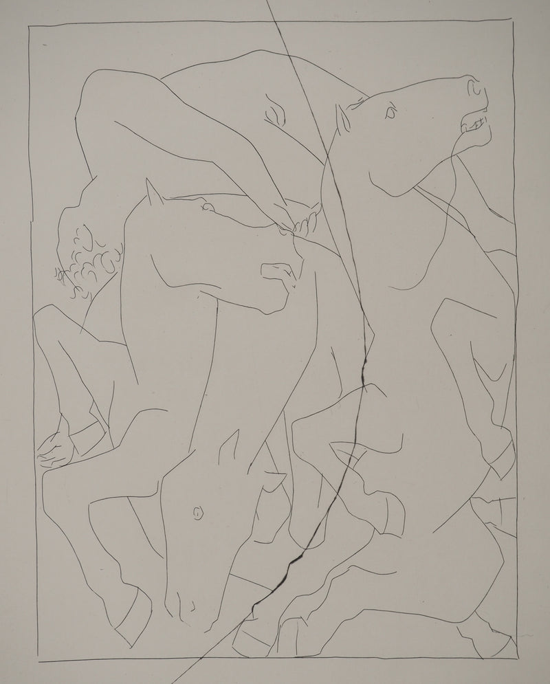 Pablo PICASSO : Métamorphoses d&