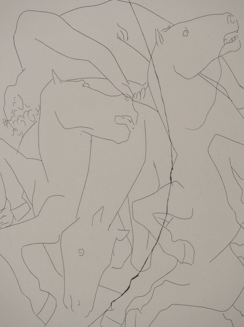 Pablo PICASSO : Métamorphoses d&