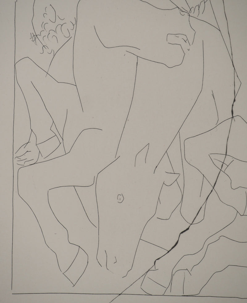 Pablo PICASSO : Métamorphoses d&