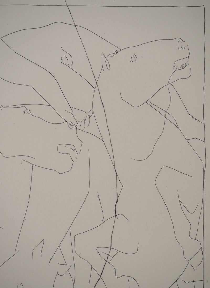 Pablo PICASSO : Métamorphoses d&