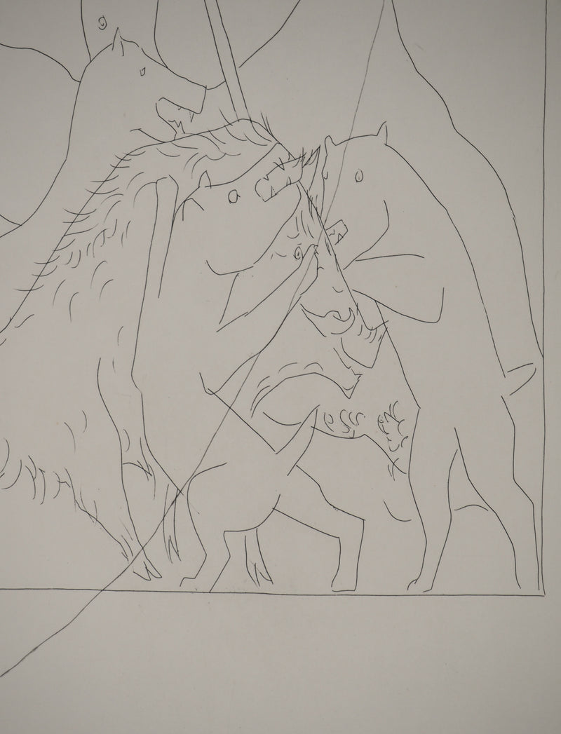 Pablo PICASSO : Métamorphoses d&
