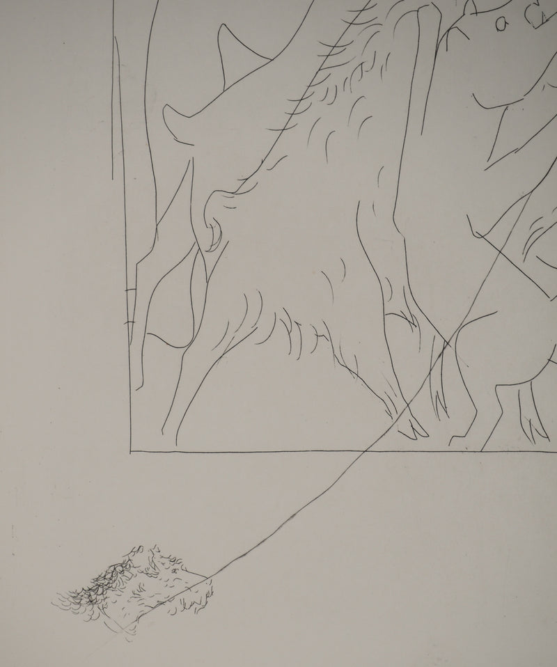 Pablo PICASSO : Métamorphoses d&