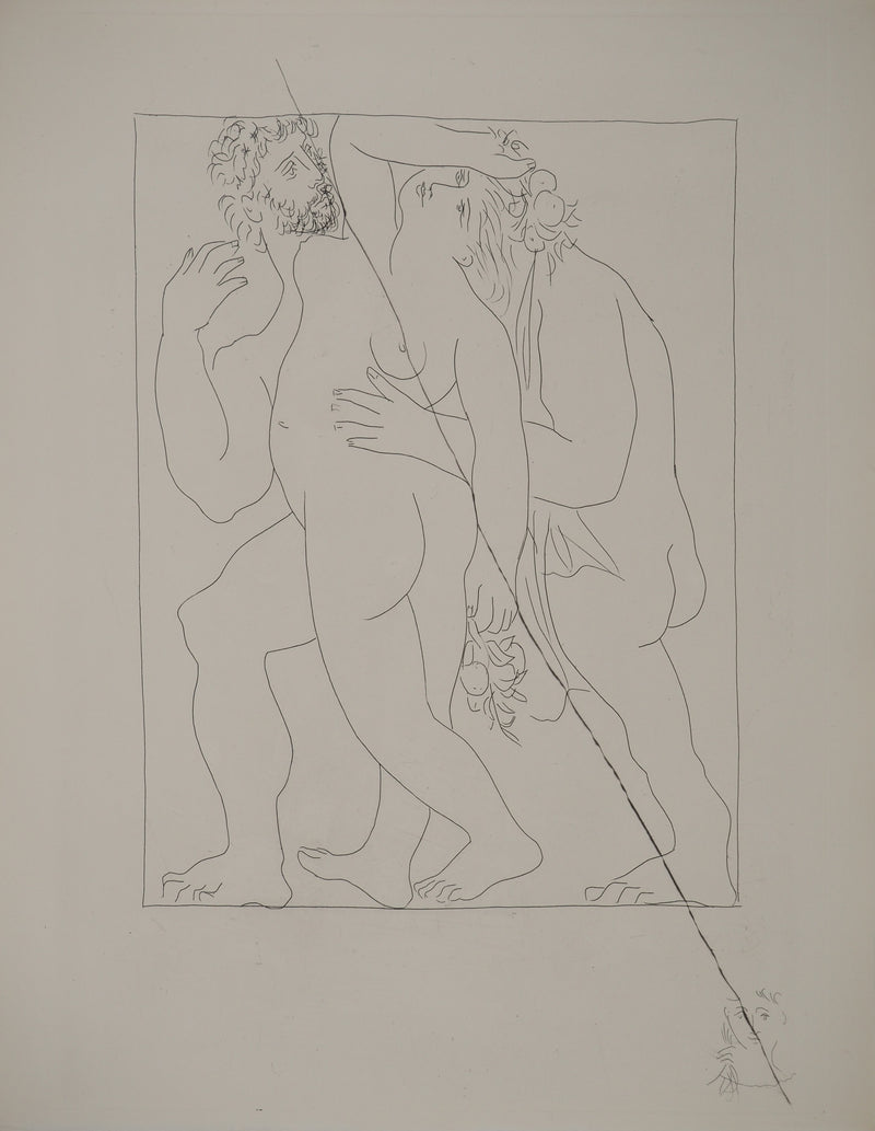 Pablo PICASSO : Métamorphoses d&