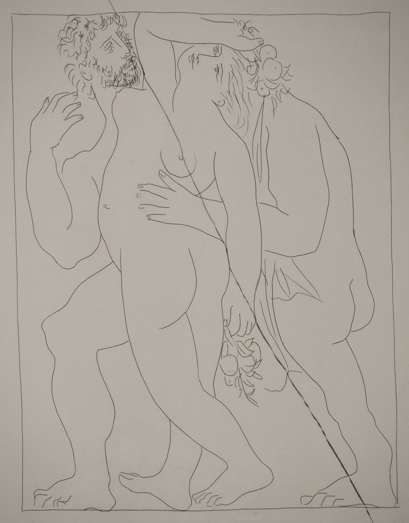 Pablo PICASSO : Métamorphoses d&