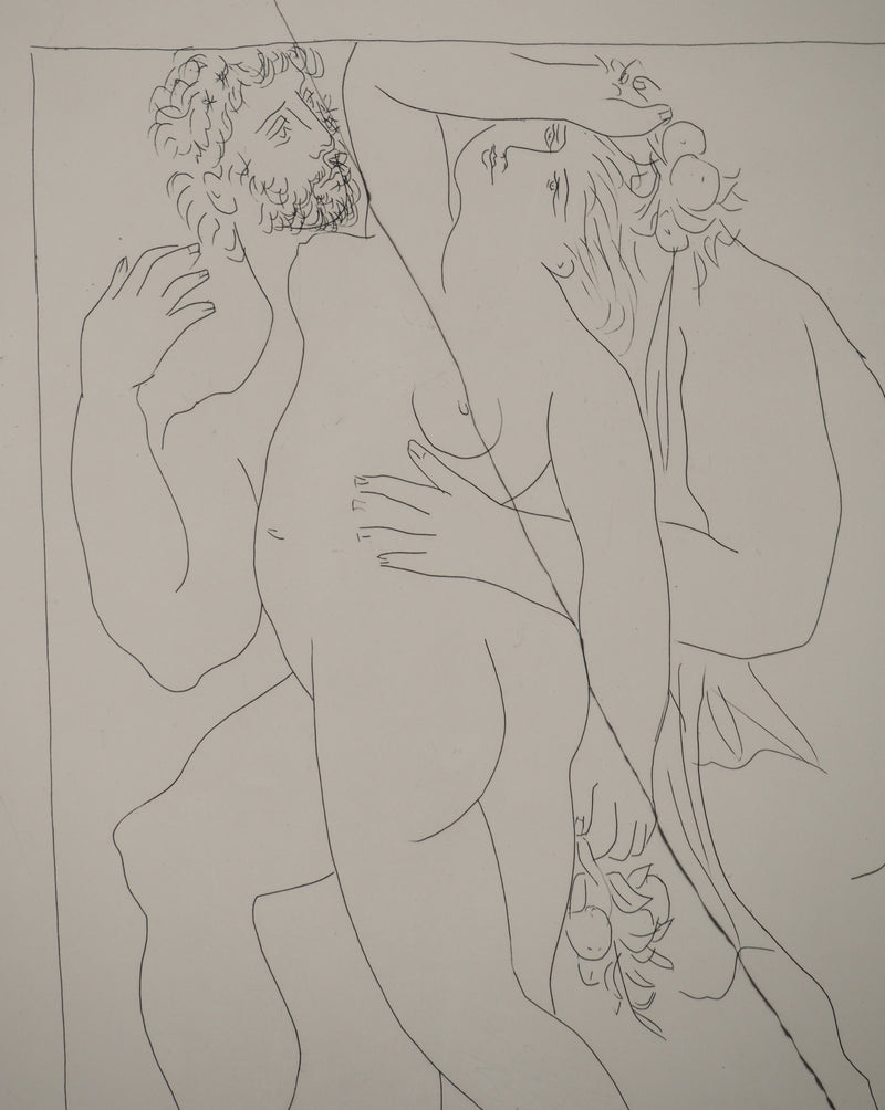 Pablo PICASSO : Métamorphoses d&