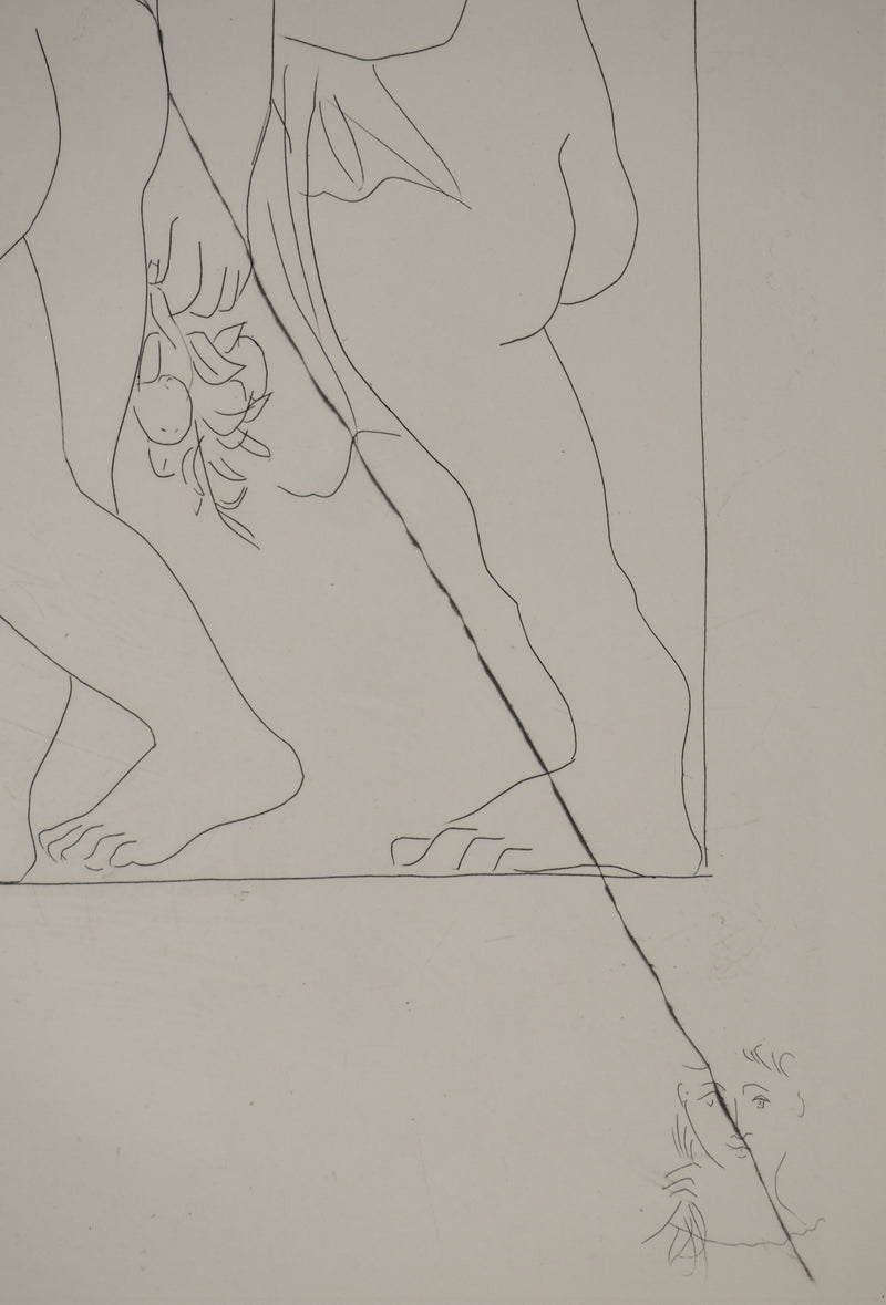 Pablo PICASSO : Métamorphoses d&