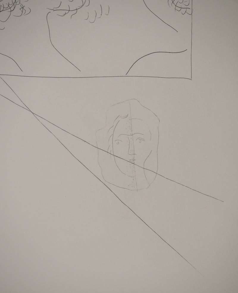 Pablo PICASSO : Métamorphoses d&