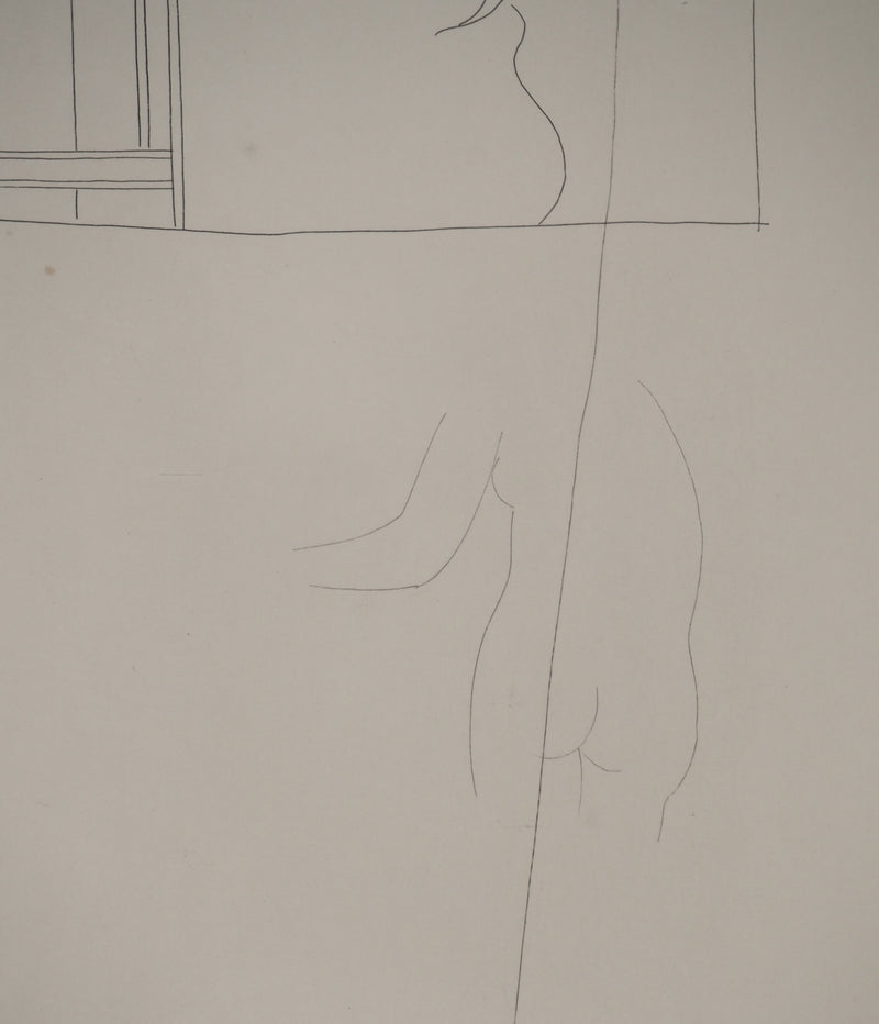 Pablo PICASSO : Métamorphoses d&