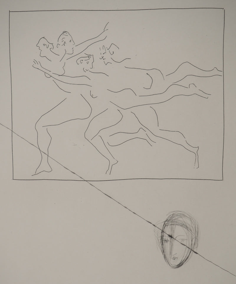 Pablo PICASSO : Métamorphoses d&