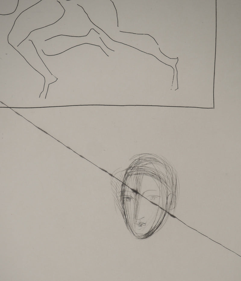 Pablo PICASSO : Métamorphoses d&