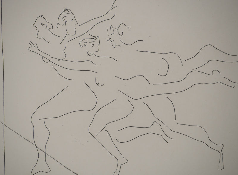 Pablo PICASSO : Métamorphoses d&