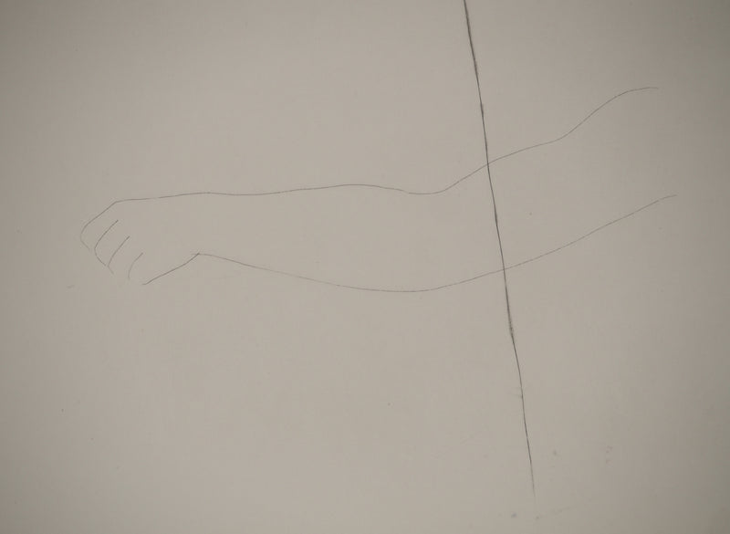 Pablo PICASSO : Métamorphoses d&