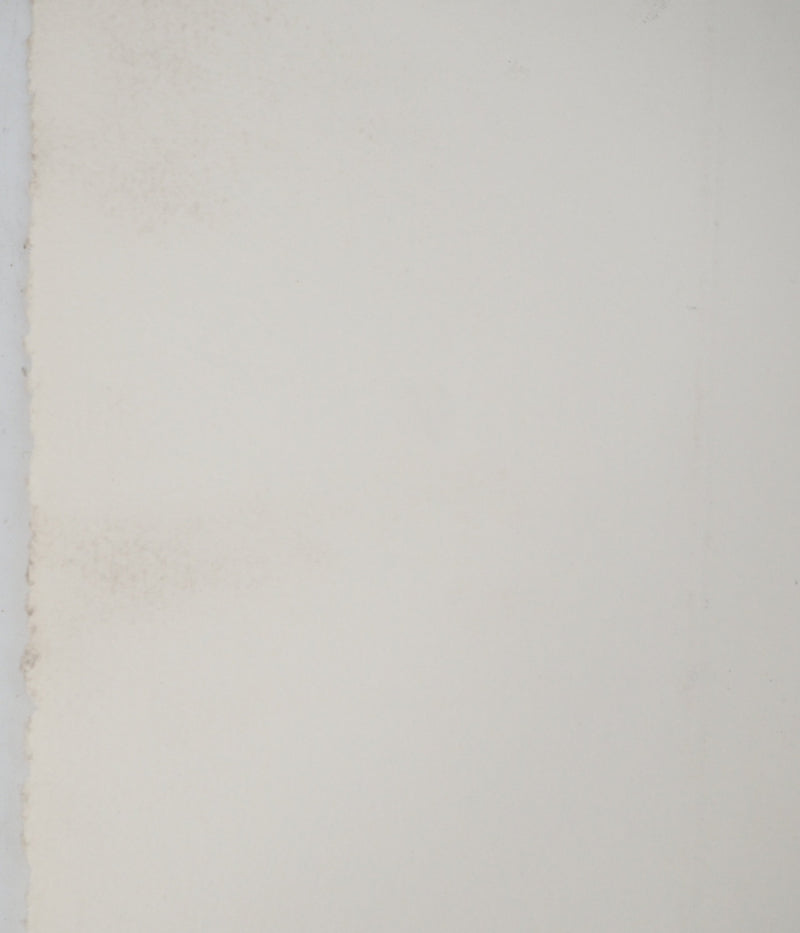 Louis Ambroise GARNERAY :, Gravure originale (photo de détail 5) - Crédit photo : Galerie Art.Paris