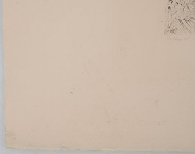 Newton FIELDING :, Gravure originale (photo de détail 4) - Crédit photo : Galerie Art.Paris