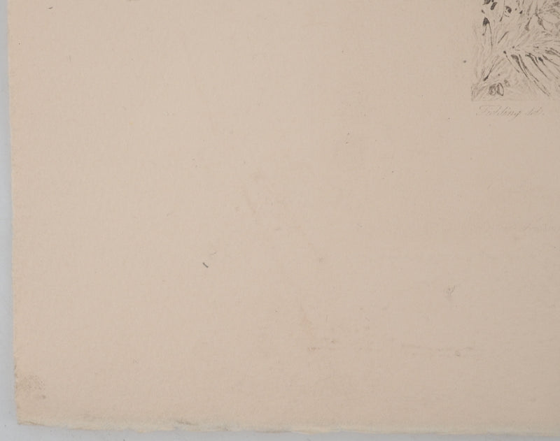 Newton FIELDING :, Gravure originale (photo de détail 4) - Crédit photo : Galerie Art.Paris