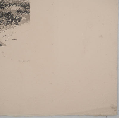 Newton FIELDING :, Gravure originale (photo de détail 5) - Crédit photo : Galerie Art.Paris