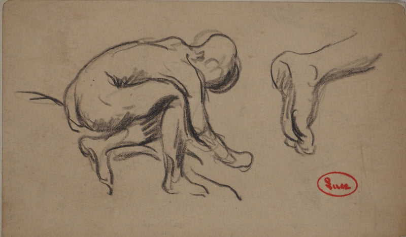 Maximilien LUCE : Etude anatomique, Dessin original (vue générale) - Crédit photo : Galerie Art.Paris