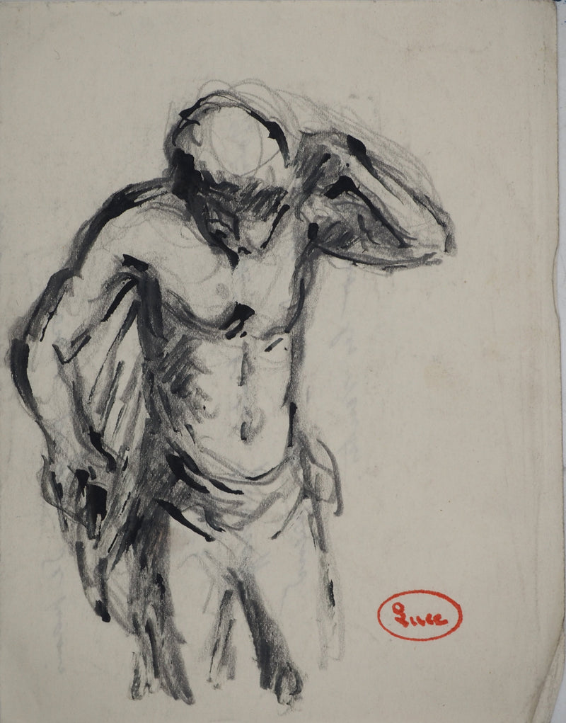 Maximilien LUCE : Anatomie musculaire, Dessin original (vue générale) - Crédit photo : Galerie Art.Paris