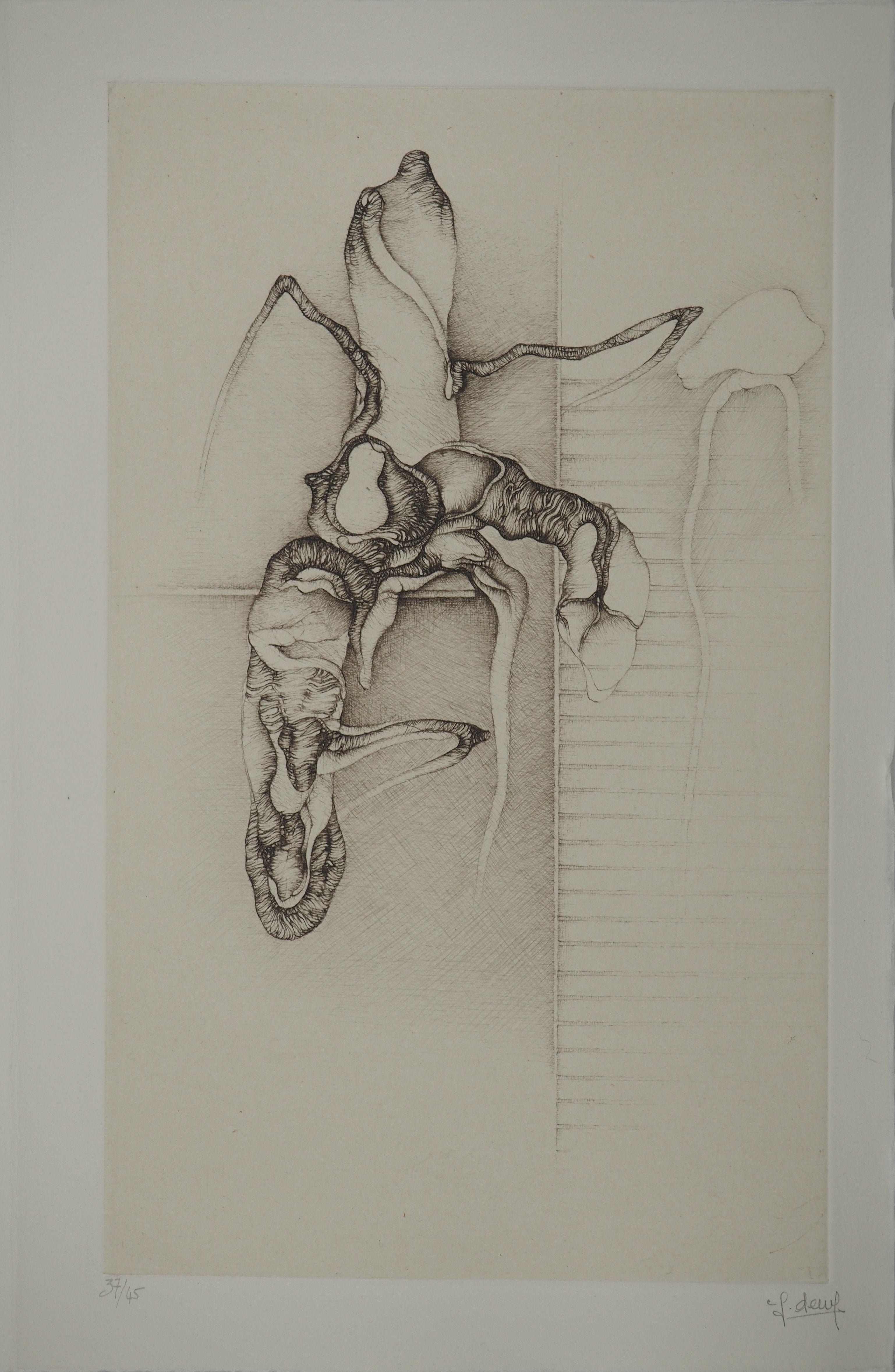 Deux Racine Fred DEUX: Racine, Original engraving – art.paris