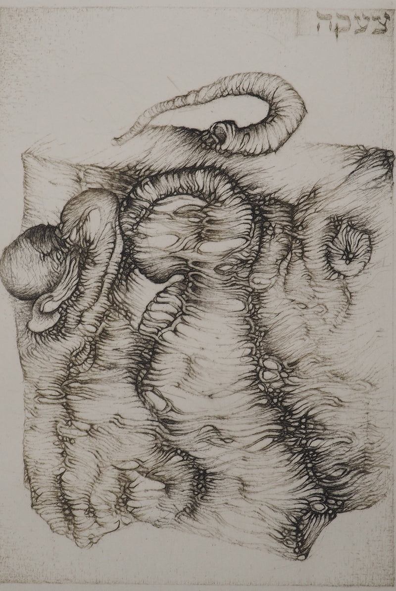 Fred DEUX : Lamentation, Gravure originale (photo de détail 2) - Crédit photo : Galerie Art.Paris