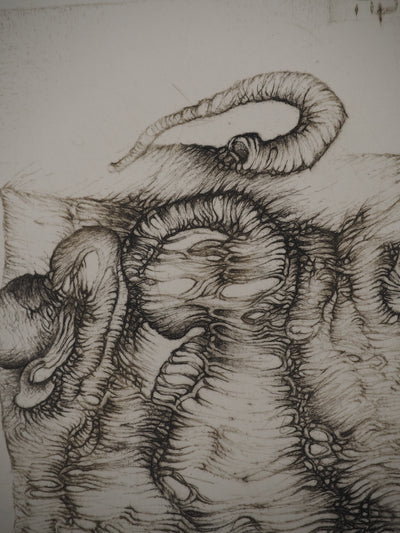 Fred DEUX : Lamentation, Gravure originale (photo de détail 5) - Crédit photo : Galerie Art.Paris