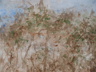 Gilbert PASTOR : Buissons d'Automne  , Aquarelle originale (photo de détail 3) - Crédit photo : Galerie Art.Paris