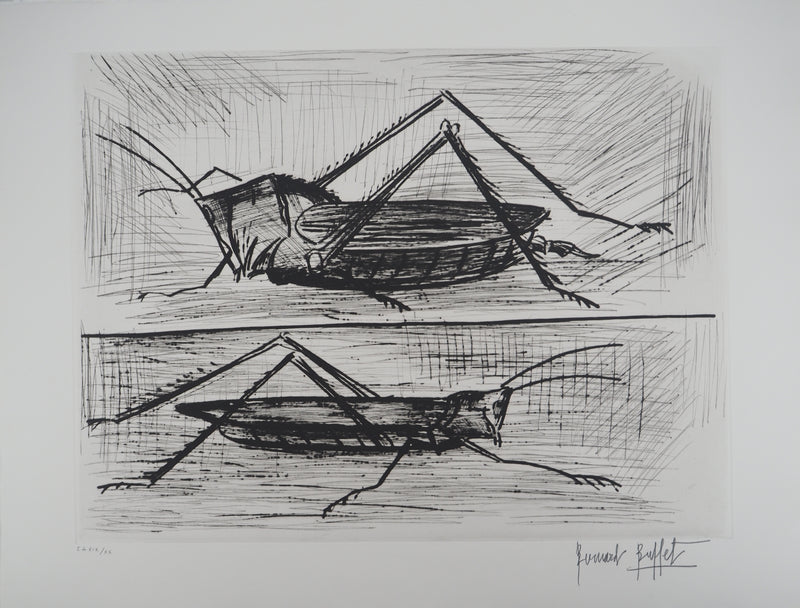 Bernard BUFFET : Les sauterelles, Gravure originale (vue générale) - Crédit photo : Galerie Art.Paris