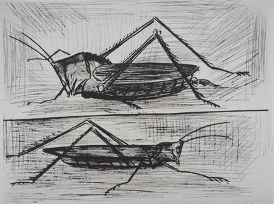 Bernard BUFFET : Les sauterelles, Gravure originale (photo de détail 3) - Crédit photo : Galerie Art.Paris