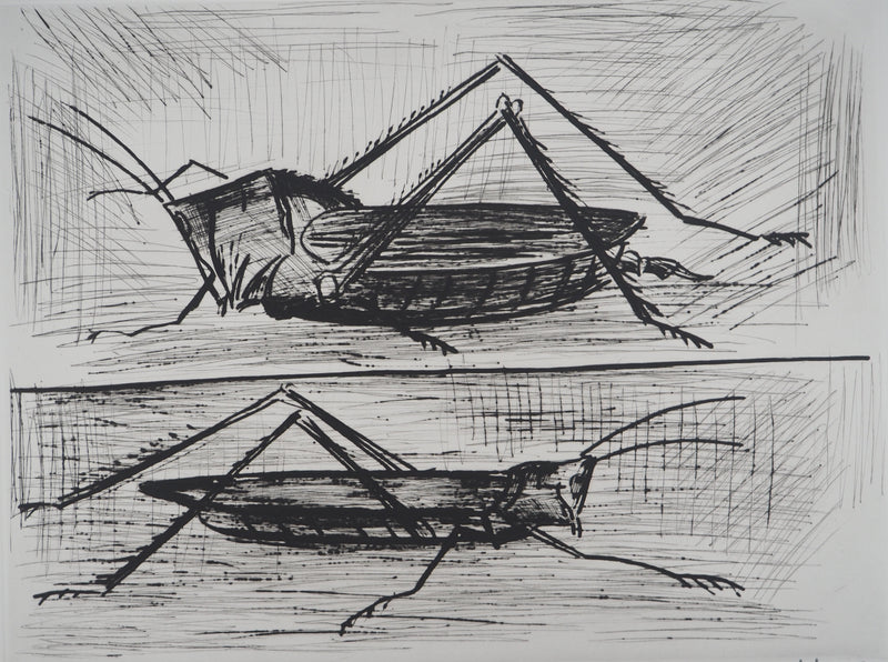 Bernard BUFFET : Les sauterelles, Gravure originale (photo de détail 3) - Crédit photo : Galerie Art.Paris