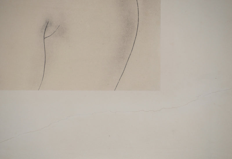 Léonard Tsuguharu FOUJITA : Jeune femme blonde, Héliogravure originale (photo de détail 7) - Crédit photo : Galerie Art.Paris