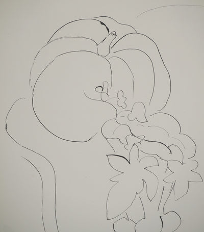 Henri MATISSE : Etude de citrouille, Lithographie originale (photo de détail 4) - Crédit photo : Galerie Art.Paris