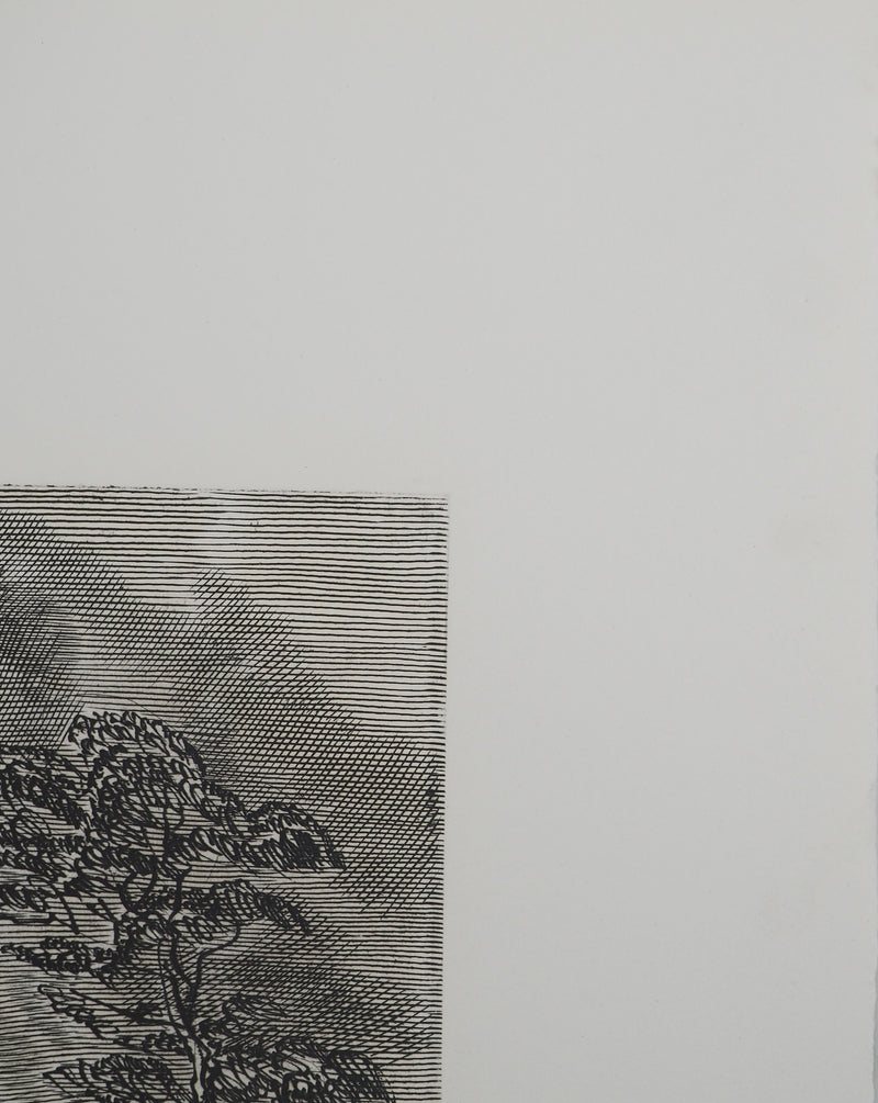 Albert DECARIS: Woman and Fauna, Original signed engraving
