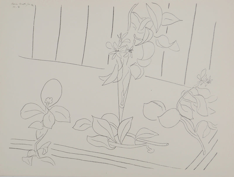 Henri MATISSE : Fleurs fraichement cueillies, Lithographie originale (vue générale) - Crédit photo : Galerie Art.Paris