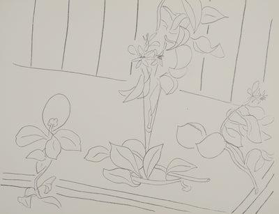 Henri MATISSE : Fleurs fraichement cueillies, Lithographie originale (photo de détail 3) - Crédit photo : Galerie Art.Paris