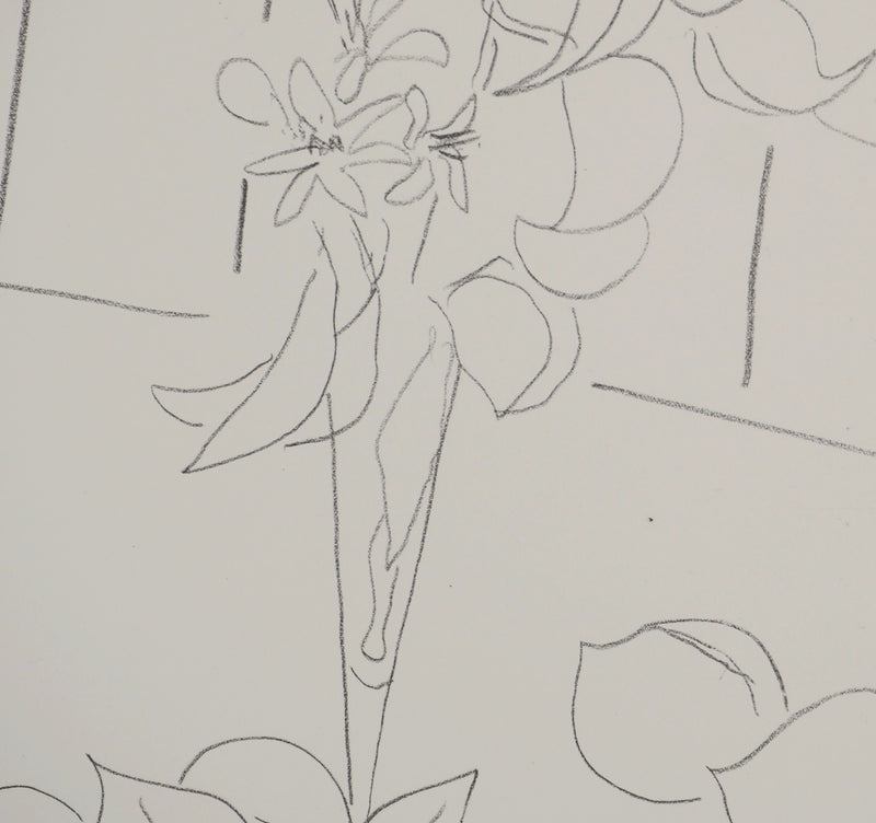 Henri MATISSE : Fleurs fraichement cueillies, Lithographie originale (photo de détail 5) - Crédit photo : Galerie Art.Paris