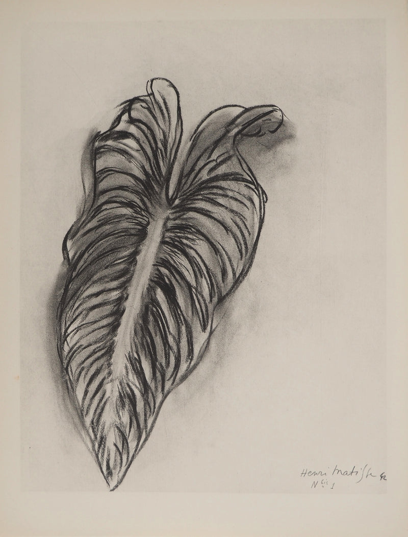 Henri MATISSE : Etude de feuille, Lithographie originale (vue générale) - Crédit photo : Galerie Art.Paris