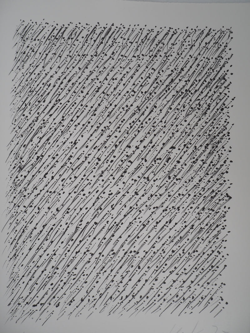 Günther UECKER : Le Mouvement , Lithographie originale (vue générale) - Crédit photo : Galerie Art.Paris