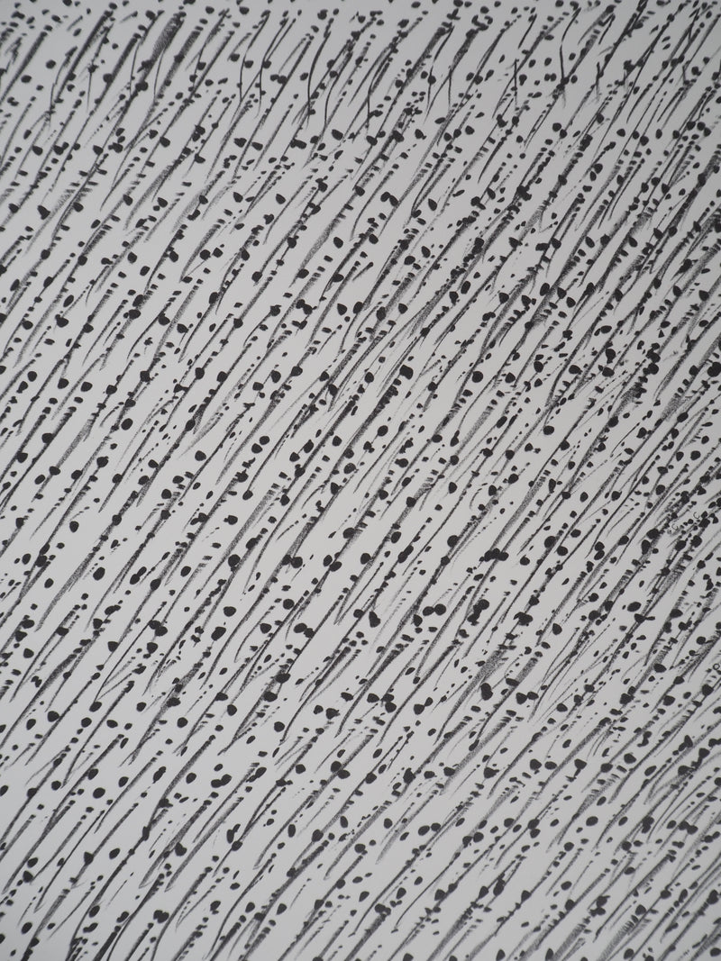 Günther UECKER : Le Mouvement , Lithographie originale (photo de détail 4) - Crédit photo : Galerie Art.Paris