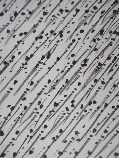 Günther UECKER : Le Mouvement , Lithographie originale (photo de détail 5) - Crédit photo : Galerie Art.Paris