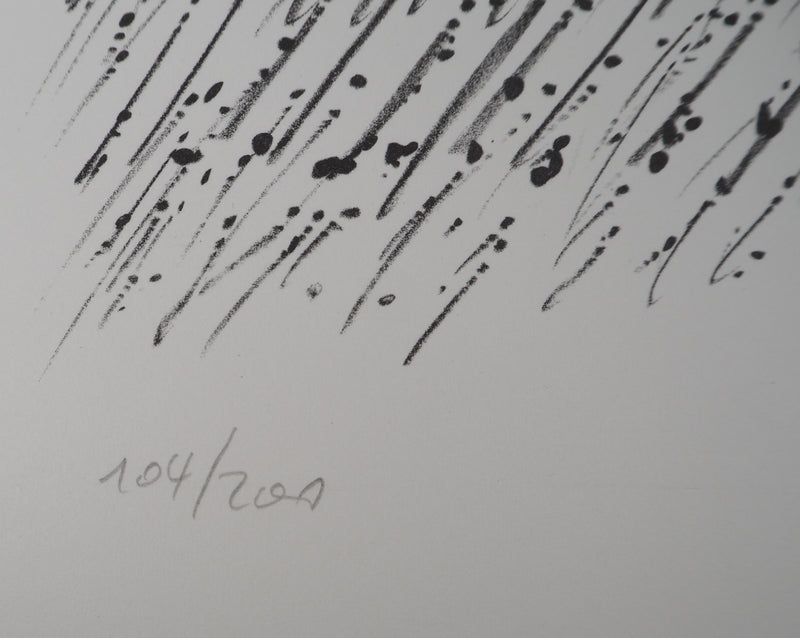 Günther UECKER : Le Mouvement , Lithographie originale (photo de détail 6) - Crédit photo : Galerie Art.Paris