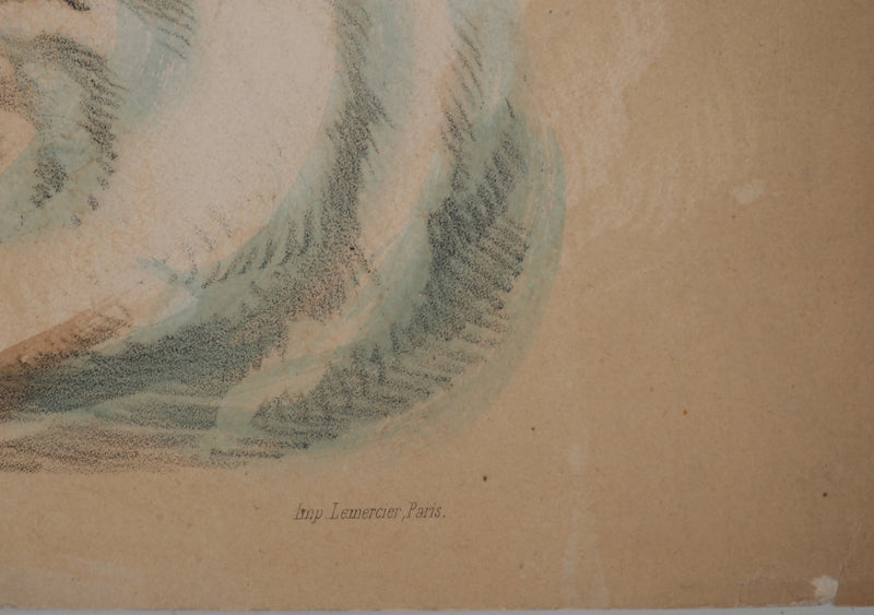 Joseph FELON : Le bain de Vénus, Lithographie originale signée