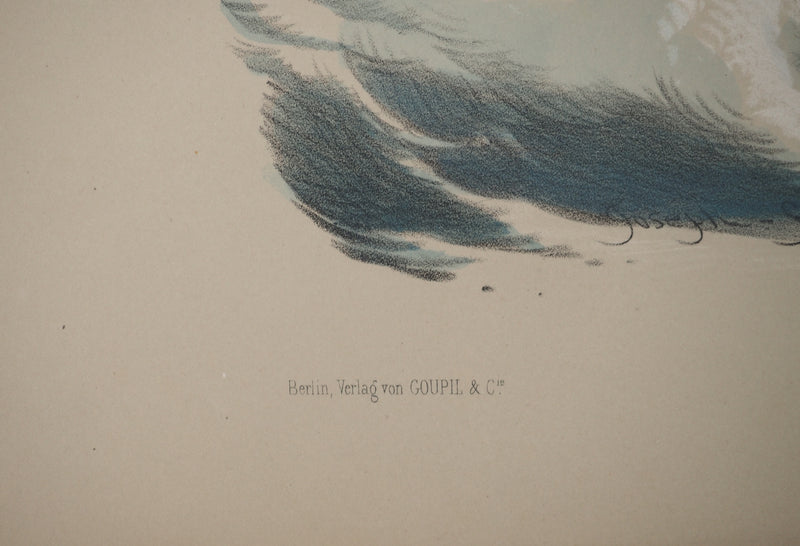 Joseph FELON : La naissance de Vénus, Lithographie originale signée