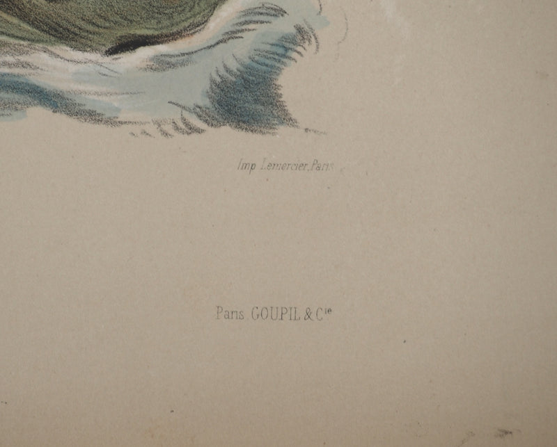 Joseph FELON : La naissance de Vénus, Lithographie originale signée